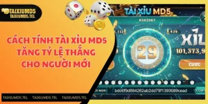 Cách Tính Tài Xỉu MD5 Tăng Tỷ Lệ Thắng Cho Người Mới