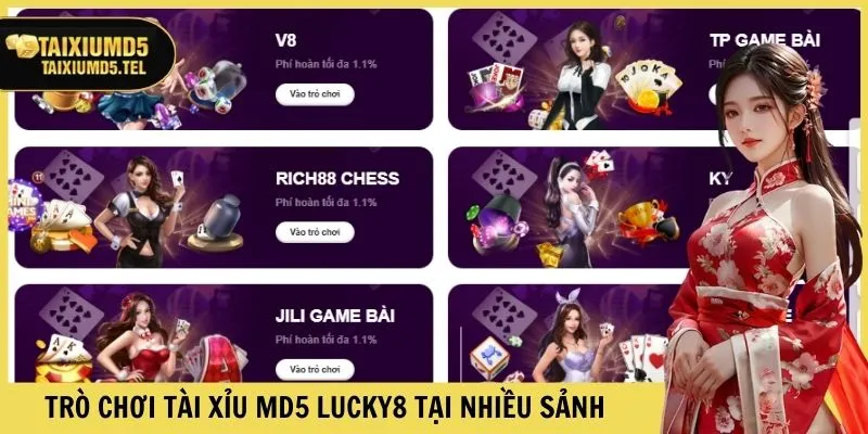 Trò chơi Tài xỉu MD5 Luck8 tại nhiều sảnh